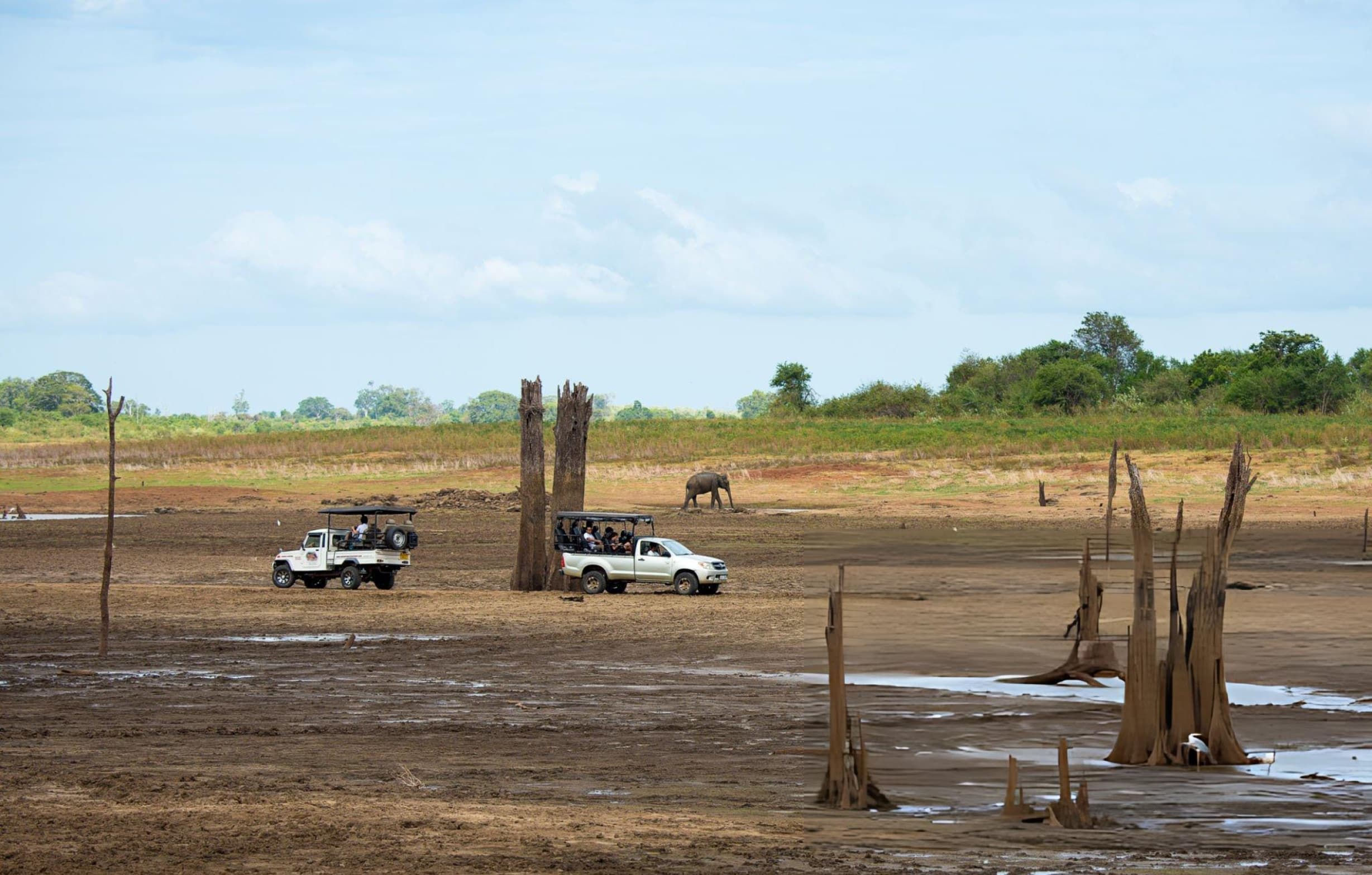 Private Udawalawe Evening Jeep Safari