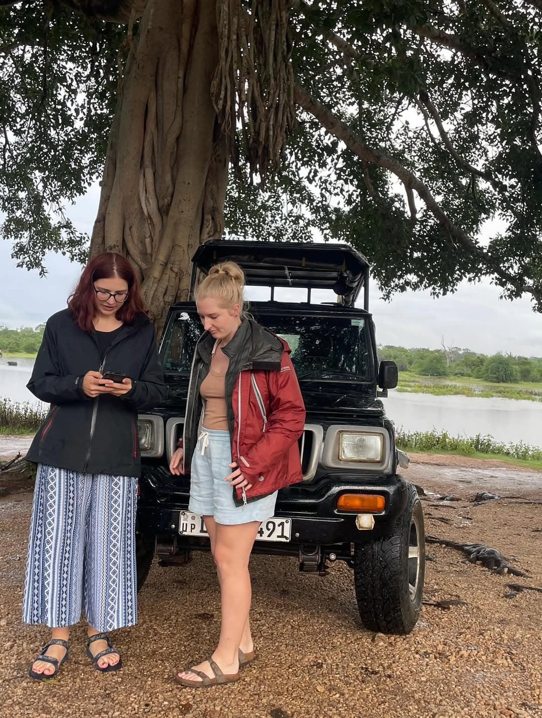 Wildlife photographer capturing sunset safari moments