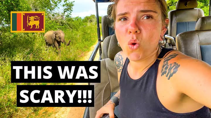 Sloth Bear Encounter β Udawalawe National Park